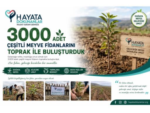 2024 ve 2025 Yılları İçerisinde 3000 Adet Çeşitli Meyve Fidanlarını Toprakla Buluşturduk